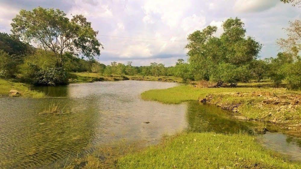 Kula Kula Luxury Camping Resort Удавалаве Екстериор снимка
